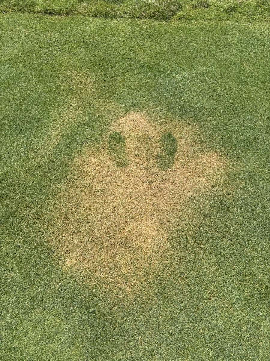 Remember to put your bug spray or your sunscreen spray on while standing on a hard surface such as a cart path or a parking lot. Do not do so standing in the fairway.