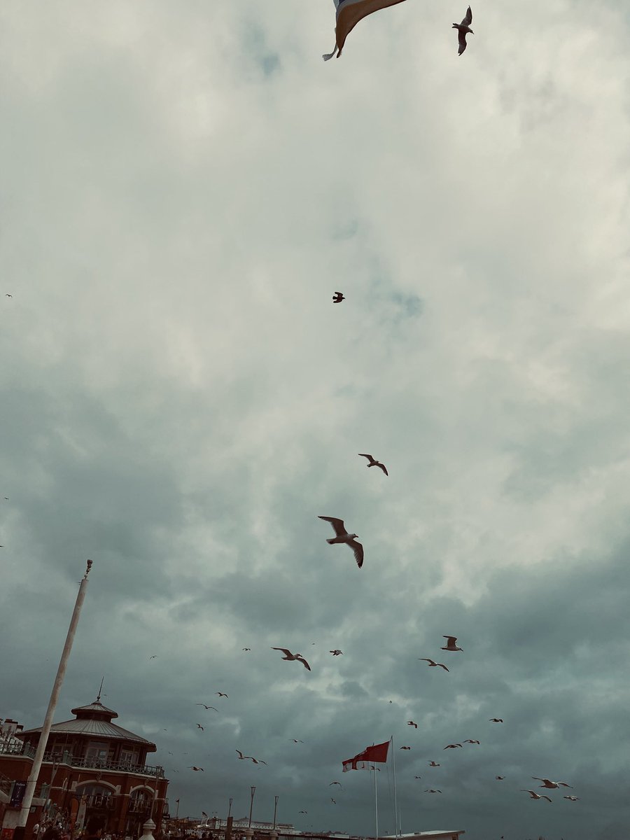 haiku366's tweet image. sometimes i forget 
how many years we have passed
flickering evening