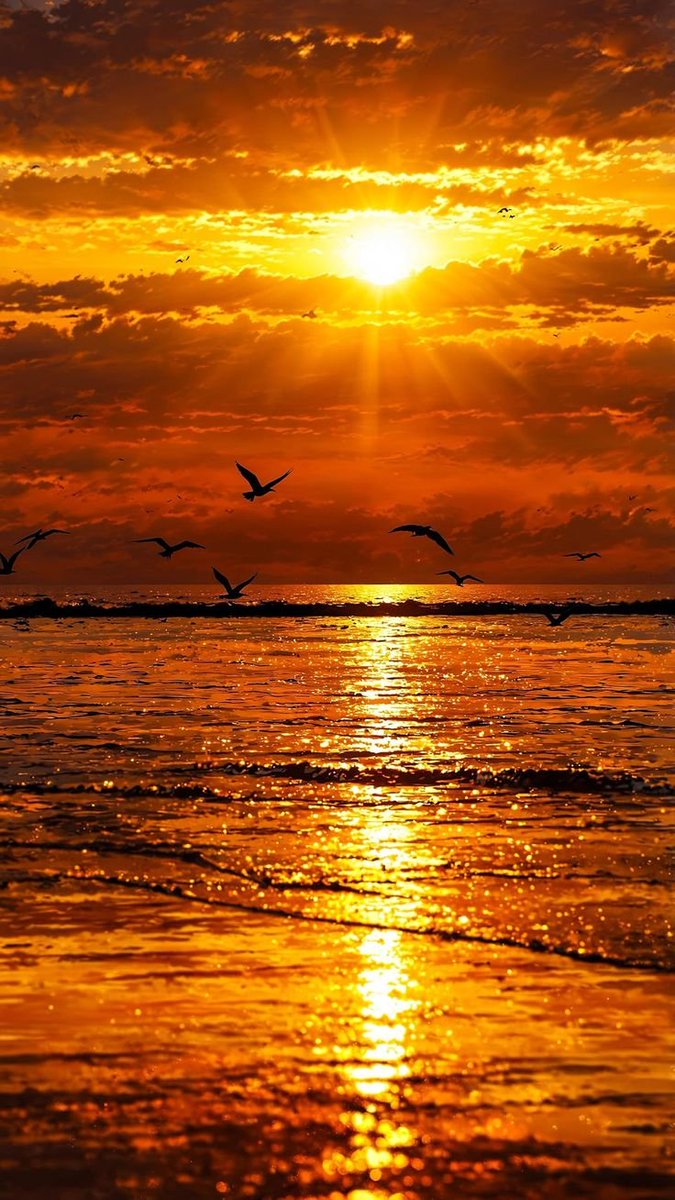 Good evening dear friends