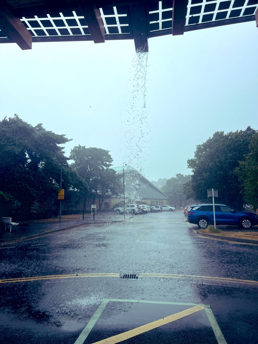 Greg Moss tweet media