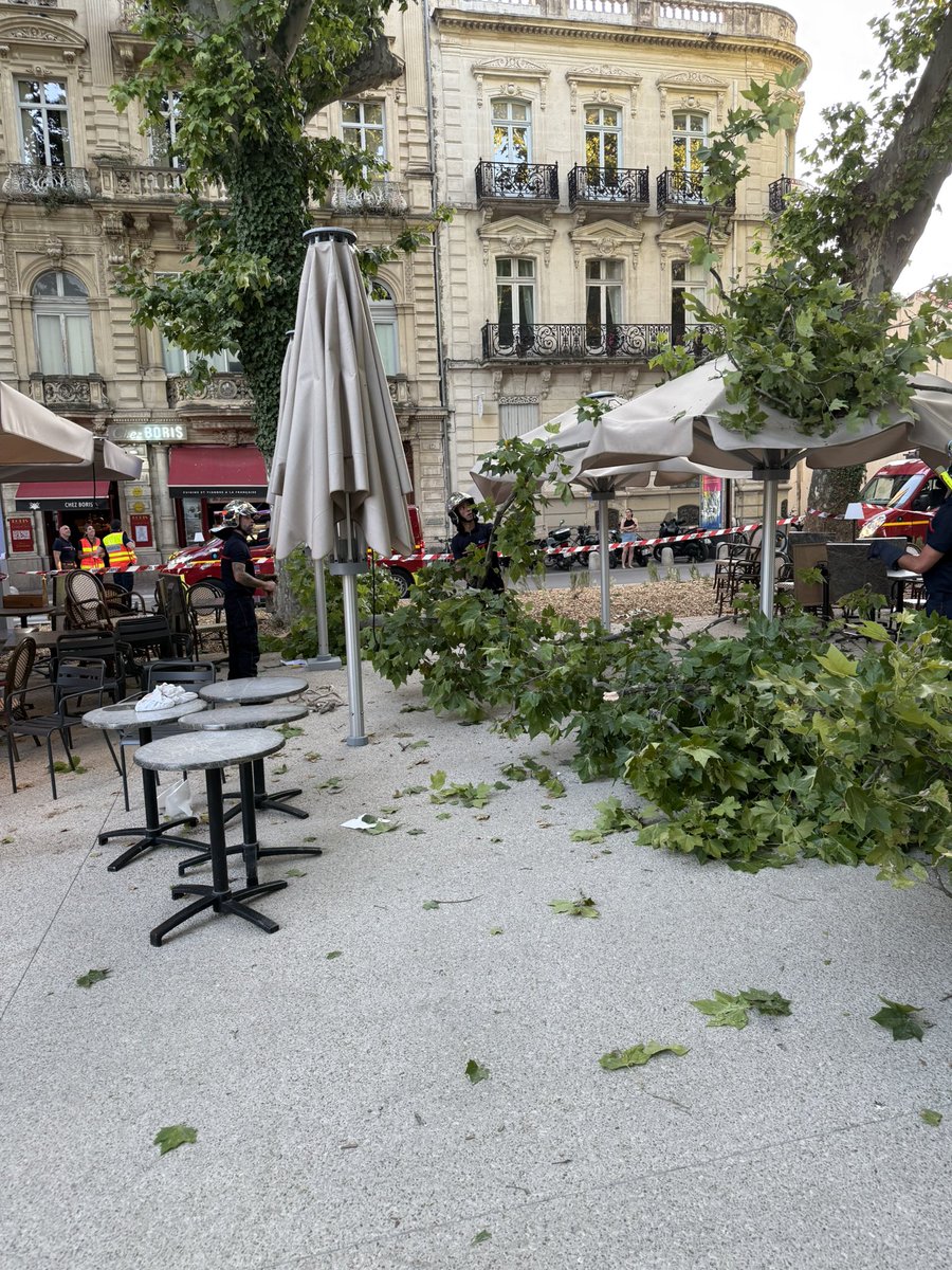 Bérengère Dubus (@berengeredubus) on Twitter photo Des millions pour la place de la comédie et pas de sécurisation des arbres.
Un arbre vient de tomber sur une terrasse … Un blessé est aux urgence … il est temps que la <a href="/montpellier_/">Ville de Montpellier</a> arrête la communication et se ressaisisse !
Pour info nous étions dimanche chez Boris à Des millions pour la place de la comédie et pas de sécurisation des arbres.
Un arbre vient de tomber sur une terrasse … Un blessé est aux urgence … il est temps que la <a href="/montpellier_/">Ville de Montpellier</a> arrête la communication et se ressaisisse !
Pour info nous étions dimanche chez Boris à