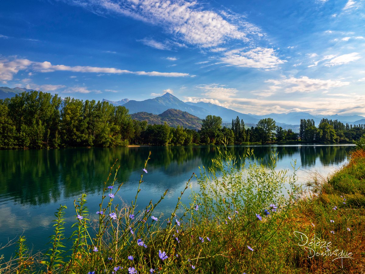 DelezeD's tweet image. Se ressourcer dans un bel endroit, Sion 💙🌸🇨🇭

#suisse #switzerland @valaiswallis @MySwitzerland_e