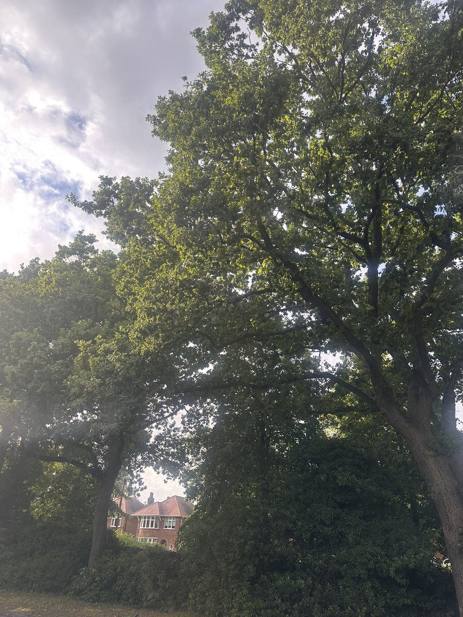 LabourWollatonW's tweet image. Useful doorstep surgery/canvass session tonight in the ward - Eton Grove, Wollaton Rd slip rd, Ancaster & part of Harrow Rd. Good feedback for the local Cllrs on Lime Bikes, the parking scheme, overhanging trees and some national issues too. We will continue to listen & act.