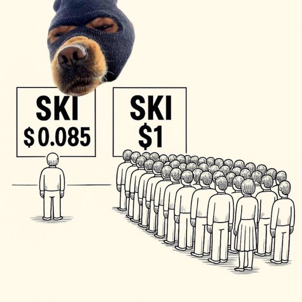$ski