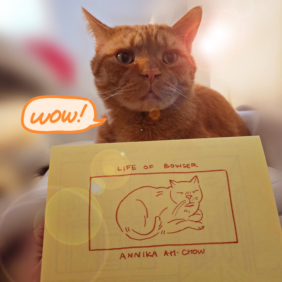 heyahchow's tweet image. HEY Y'ALL!!!
"life of bowser" is up at issues mag shop for zine shine 2025!!! i have a few copies available for purchase in store, and on their website
stop by the shop, take a gander, and pick up some zines!!! lot's of great stuff this year 🐱🌞