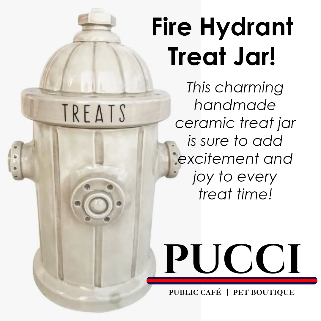 puccicafe's tweet image. Add a pop of fun to your treat time with our adorable handmade ceramic Fire Hydrant Treat Jar!🎉🧁 

Get yours now online at puccicafe.com/shop/buon-appe… 

#TreatJar #Handmade #FunDecor