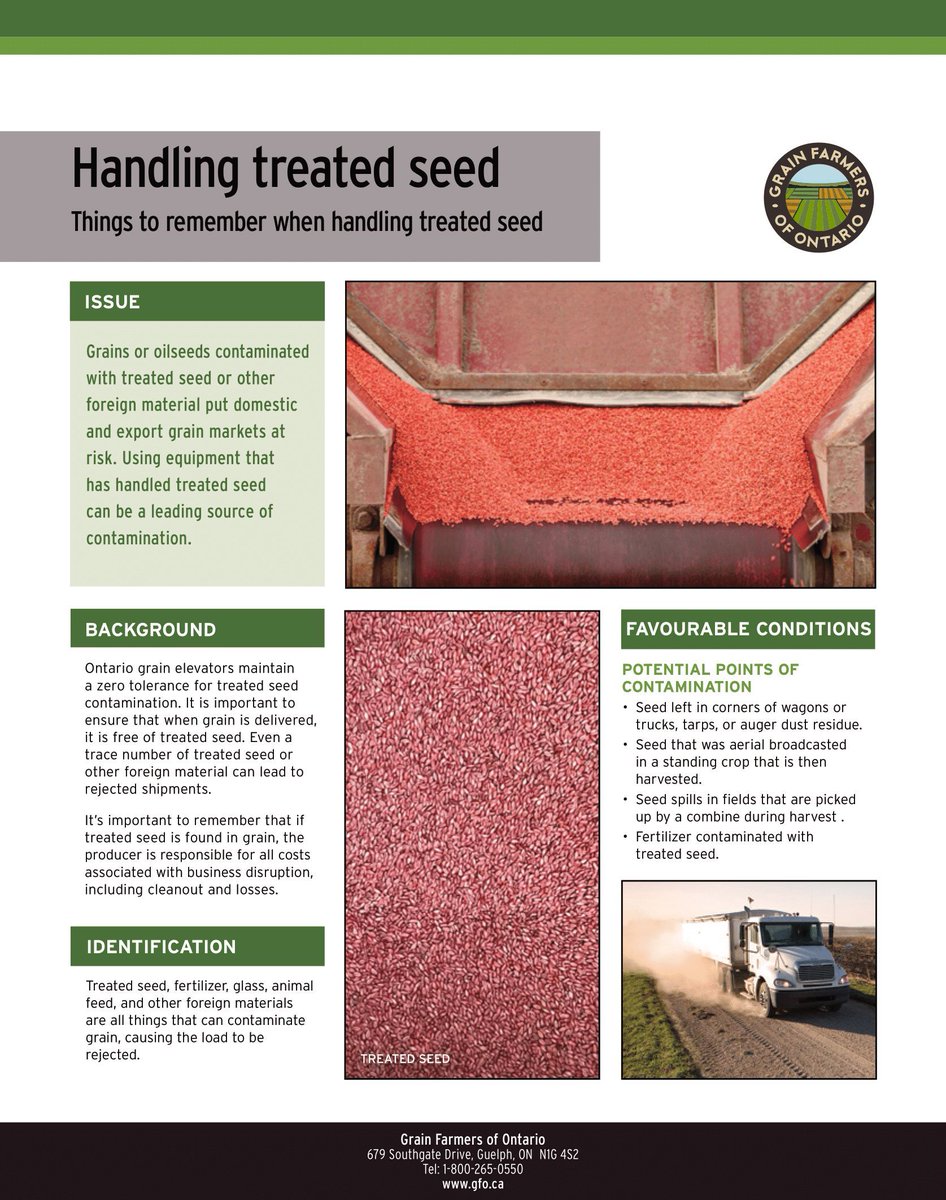 GrainFarmers's tweet image. If using equipment for winter wheat harvest that has also handled treated seed, ensure proper cleanout procedures are followed. buff.ly/5h6HPww
