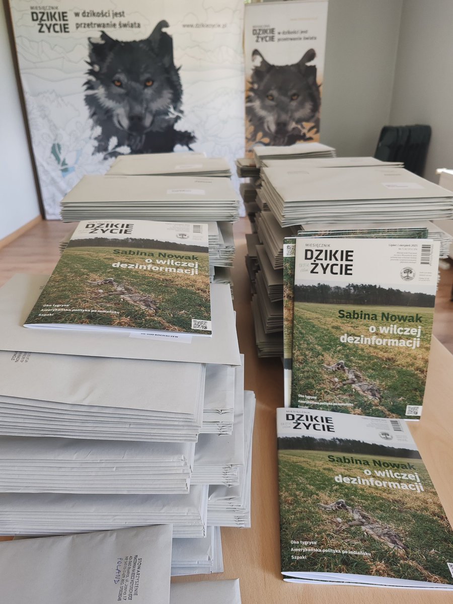 Wakacyjne <a href="/DzikieZycie/">Dzikie Życie</a> już w drodze do czytelników 📬

W wydaniu: wilcza dezinformacja 🐺, tygrysy🐯🇧🇩🇮🇳, indiańska polityka, szpaki🐦, felietony
dzikiezycie.pl