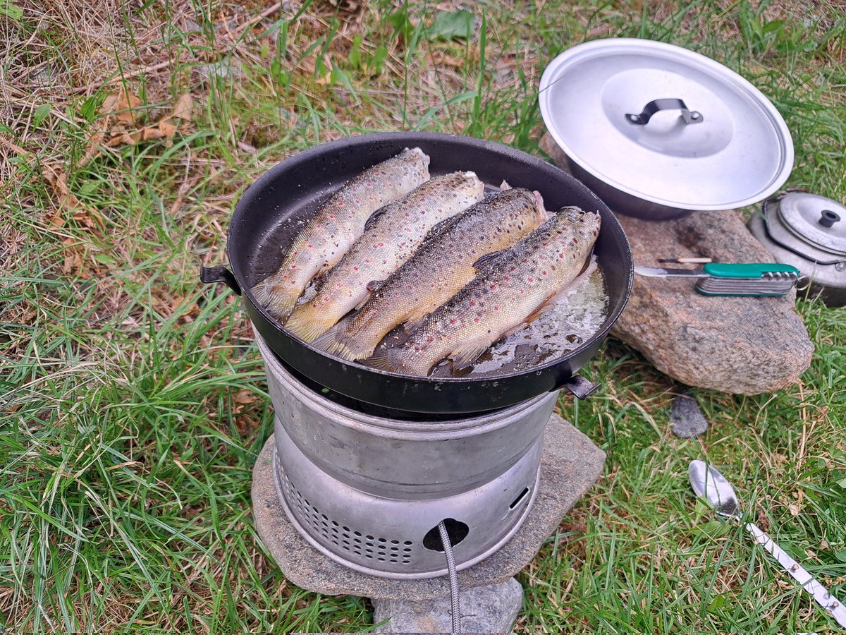 Heming H. Gujord tweet media