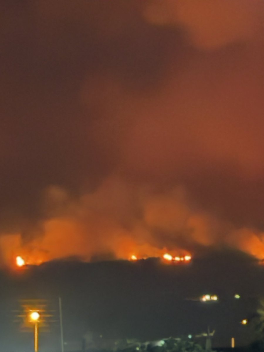 Rüzgar tekrar kuvvetlendi alevler her yöne saçılıyor. #tekirdağyanıyor