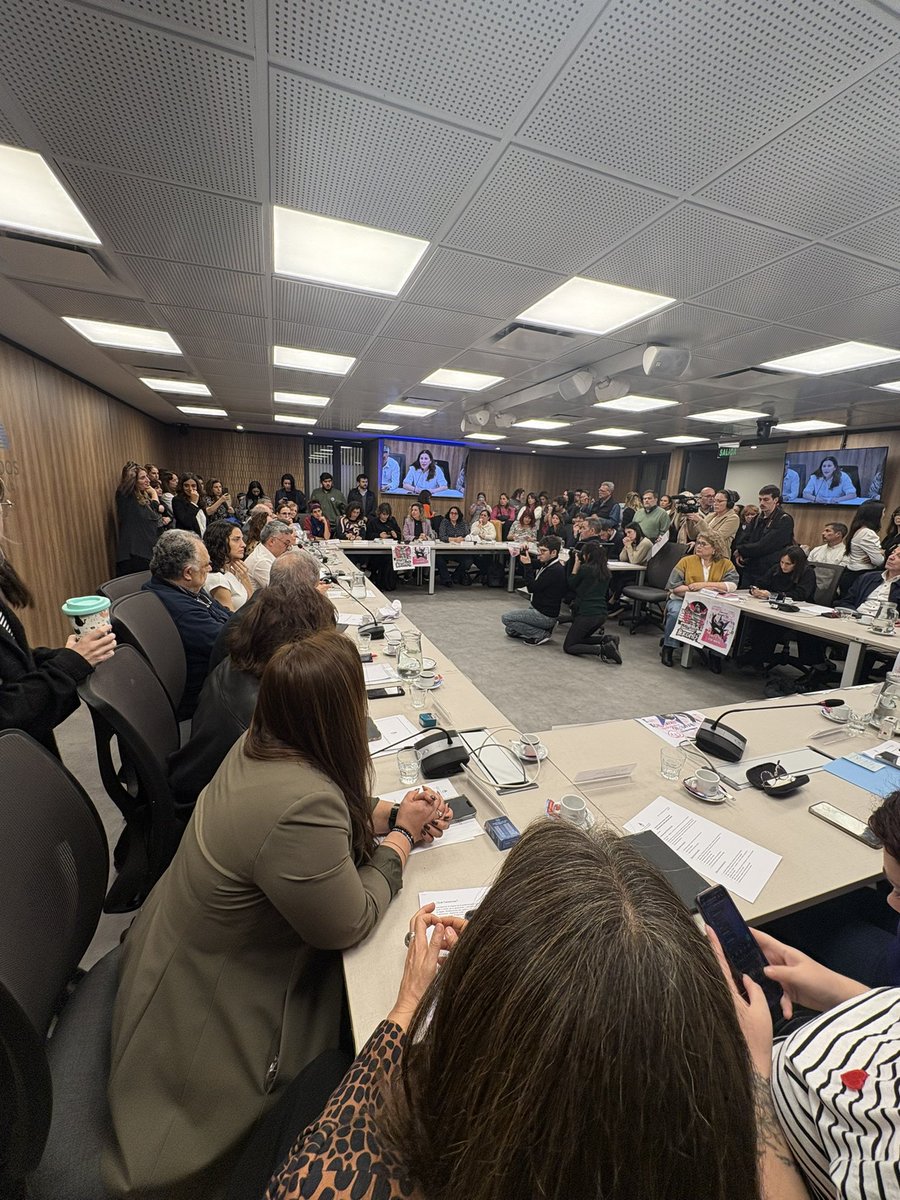 Comisión de mujeres y diversidad de la cámara de diputados de la nación se reúne para debatir acerca de la violencia política y digital que sufren activistas y comunicadoras. Expondrán entre otras <a href="/juliamengo/">Julia Mengolini</a>, Maria O Donell, Nancy Pasos