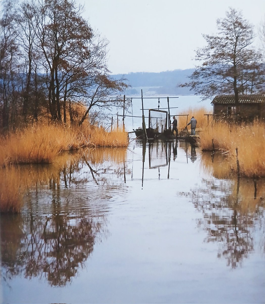 Fischer am Schmollensee auf Usedom.