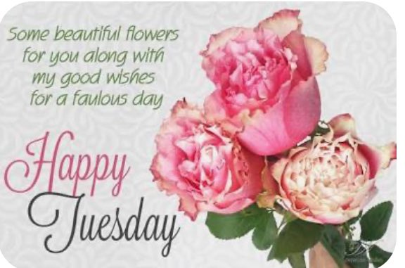 <a href="/WoodrowLorraine/">Lorraine Woodrow. @Woodrow Lorraine</a>