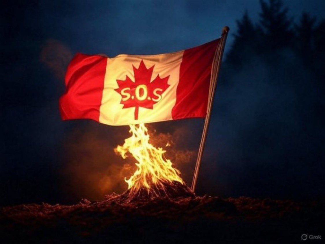 To those outside of Canada that are interested…

🇨🇦Landscape:

Installed Prime Minister. 
Installed Governor General. 
Installed RCMP Commissioner.
Unelected Privy Council.
Unelected Senate. 
Unelected Judiciary.
Opposition is controlled.
Mainstream media is controlled.