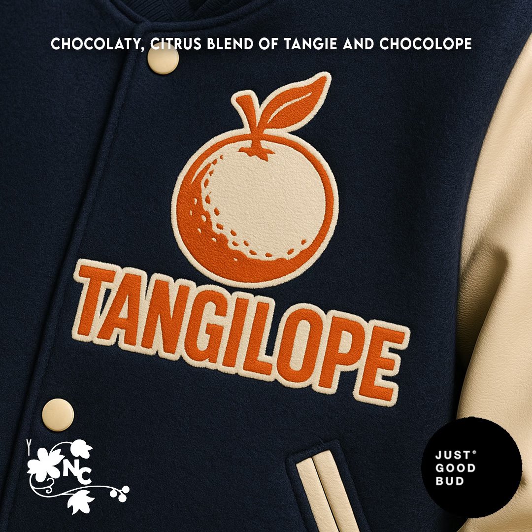 JustGoodBud tweet media