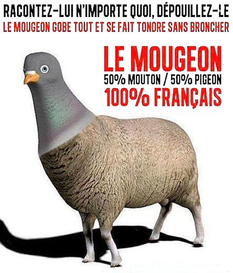 Tazz19803997's tweet photo. @J_Rodrigues_Off #Macron  #MacronDestitution  rend l argent !   
#biroute le stagiaire de l Elysée doit expliquer ce qu il fait de ce pognon de dingue ! https://t.co/hZXyAV0ozB