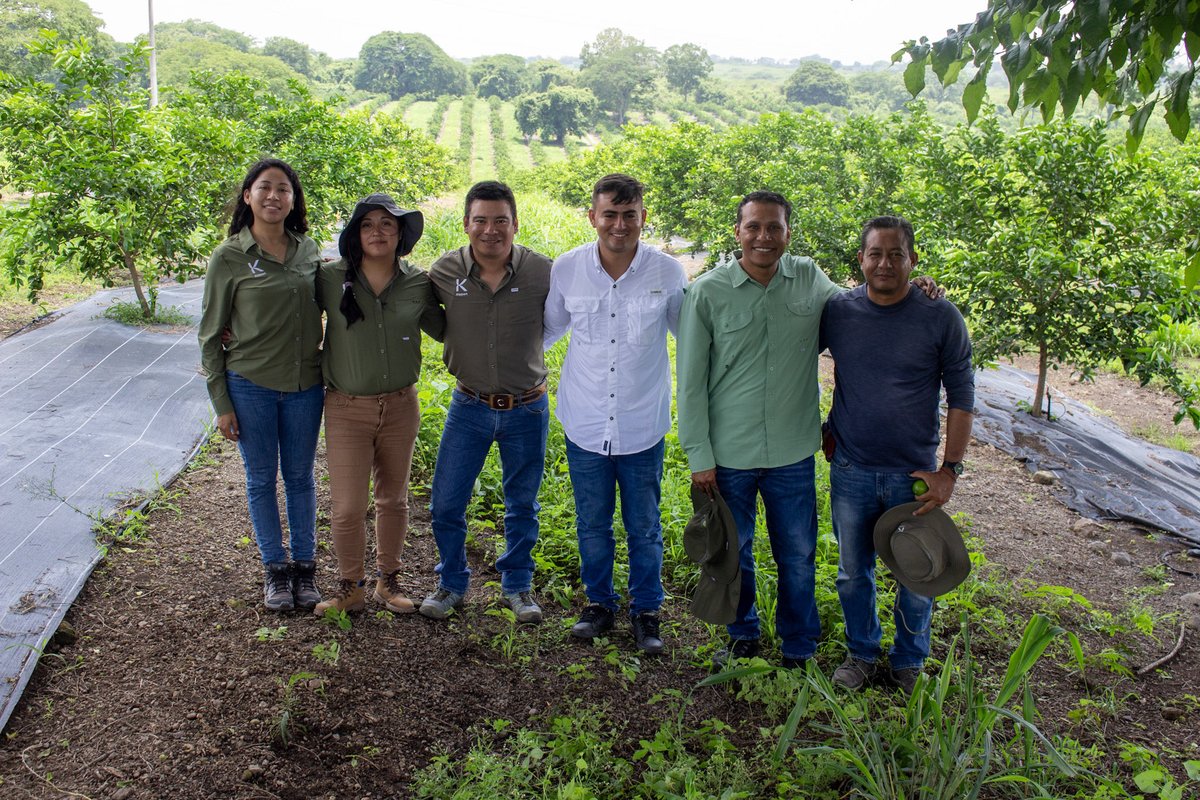 En Koppert trabajamos para los agricultores. En limón persa, nuestros consultores están en campo, ayudando a combatir plagas como el ácaro blanco y trips con soluciones de control biológico efectivas. 🔬

Más información: koppert.mx/cultivos/fruta…