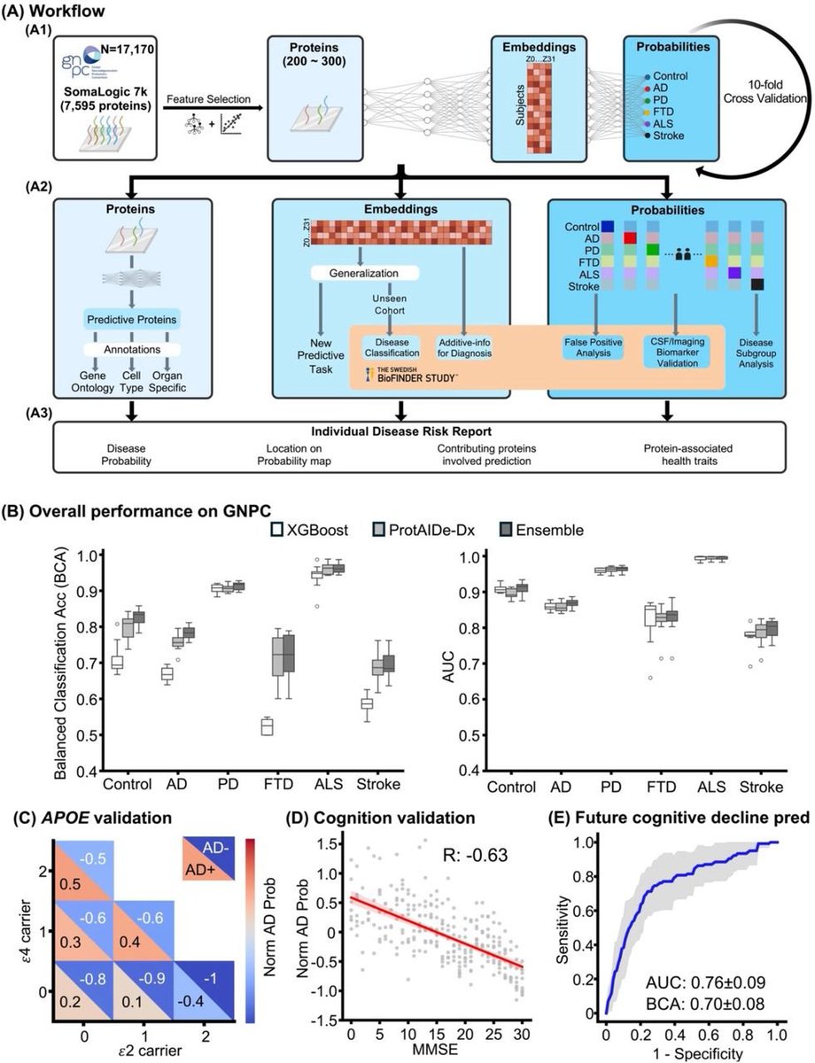 ‼️New preprint‼️ 

Super excited to share this work by the incredible <a href="/anlijuncn/">Lijun AN | 安丽军</a>. We explore the potential of plasma proteomics and AI for neurodegenerative disease (AD, PD, ALS, FTD,CVD) diagnosis in a massive dataset (N&gt;17,000).

Paper link and walkthrough in Lijun's 🧵 below!