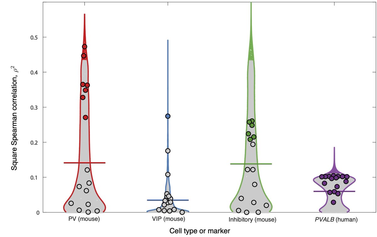 ApertureOHBM's tweet image. Alam et al. develop a canonical time-series feature set for characterizing biologically informative dynamical patterns in fMRI: doi.org/10.52294/001c.…
@bendfulcher @fMRI_today @mallarchkrvrty1 @OHBM