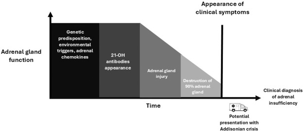 TheAACE's tweet image. This review delineates the evolving epidemiology, understanding of the pathophysiology, diagnosis, and future directions aimed at enhancing disease management and patient outcomes: endocrinepractice.org/article/S1530-… #endocrinology @vtangpricha @Els_ENDO