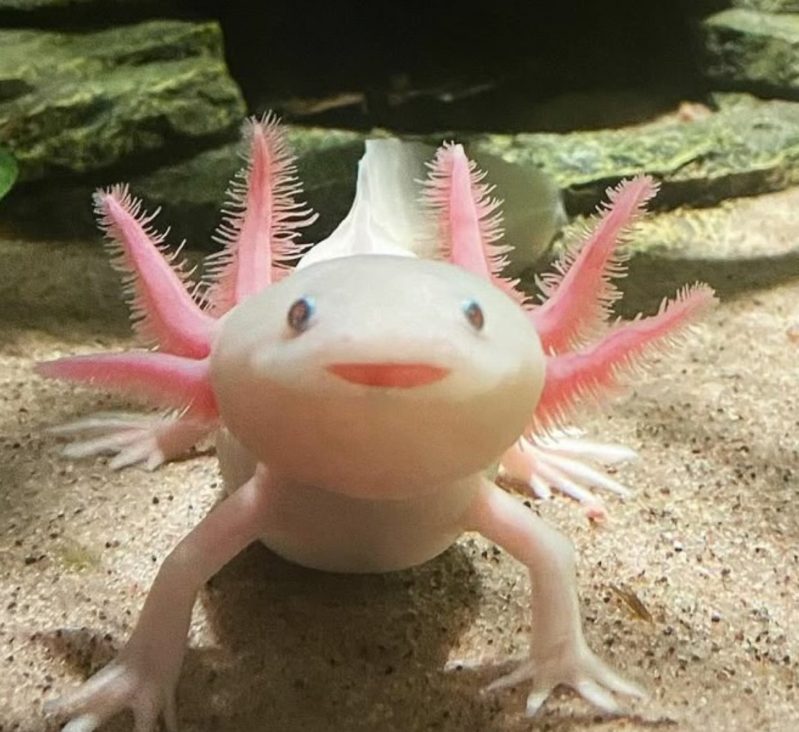 LIKE😭😭😭😭😭😭💗💗💗💗💗💗💗💗💗💗💗💗💗