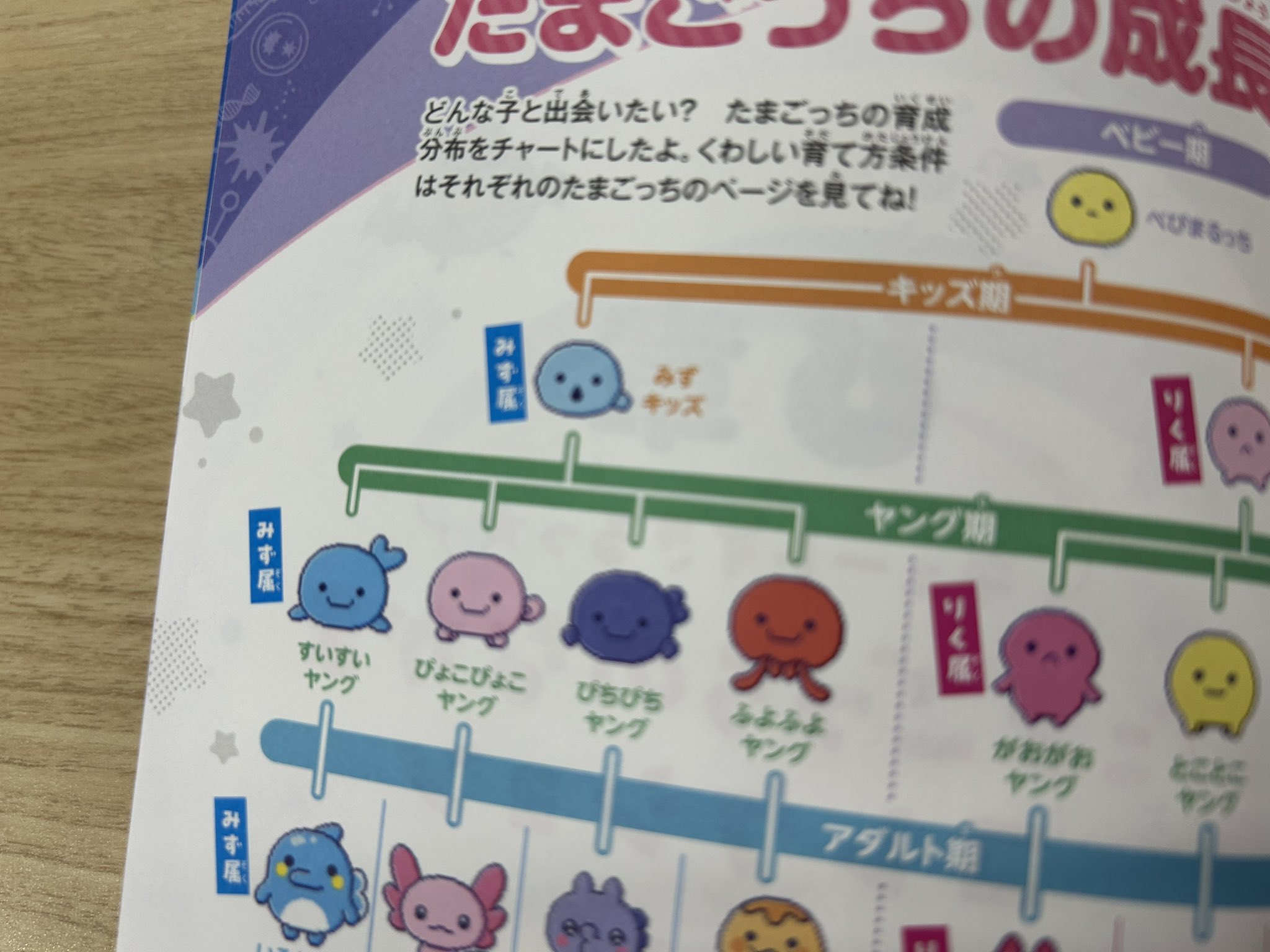 小学館『ぷっちぐみ』 on X: 