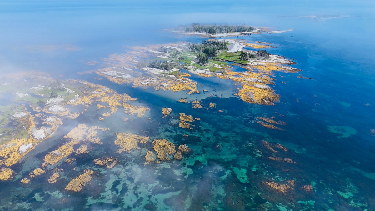 NSwilderness's tweet image. Grateful to work in Mi’kma’ki.
On the East Coast of Canada.
To live, play, and explore in places like this. 🙏😍