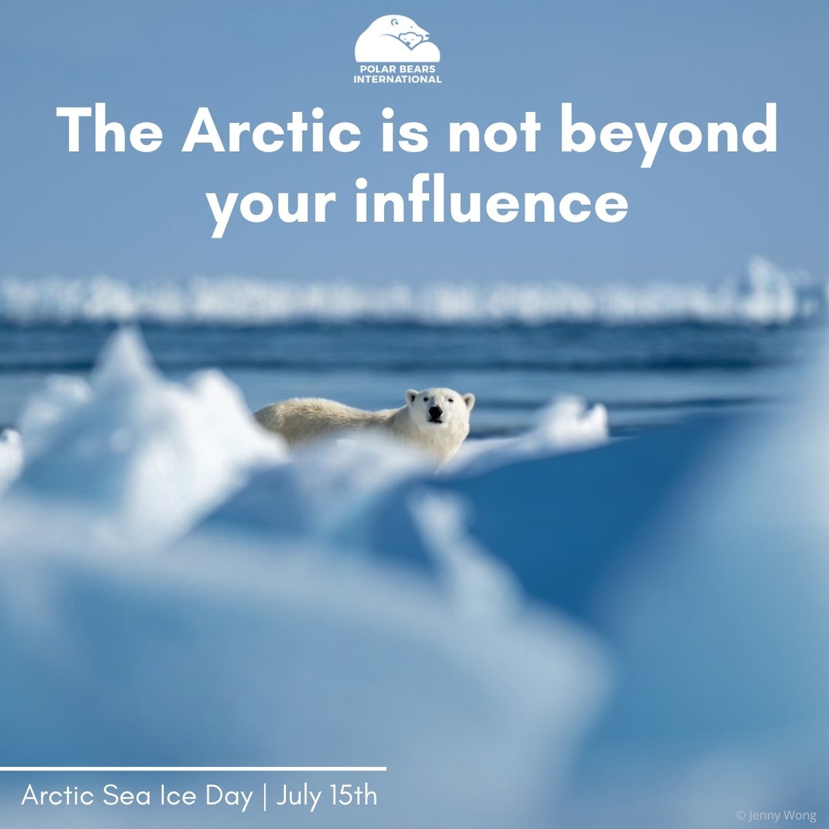 Polar Bears International tweet media