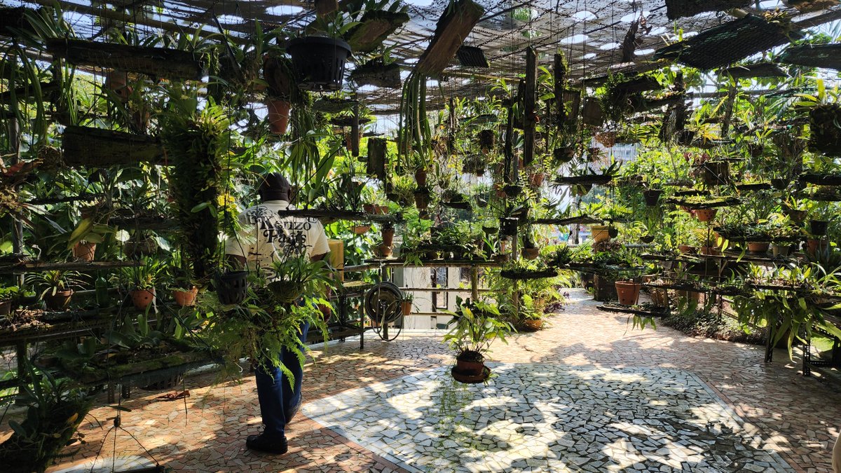 🌍 Sur ~3 700 jardins botaniques dans le monde, peu se trouvent en Afrique.

Le futur jardin de Libreville viendra combler ce manque en valorisant la flore unique du bassin du Congo.

Pour en savoir plus : 🔗bit.ly/4nPFqBu