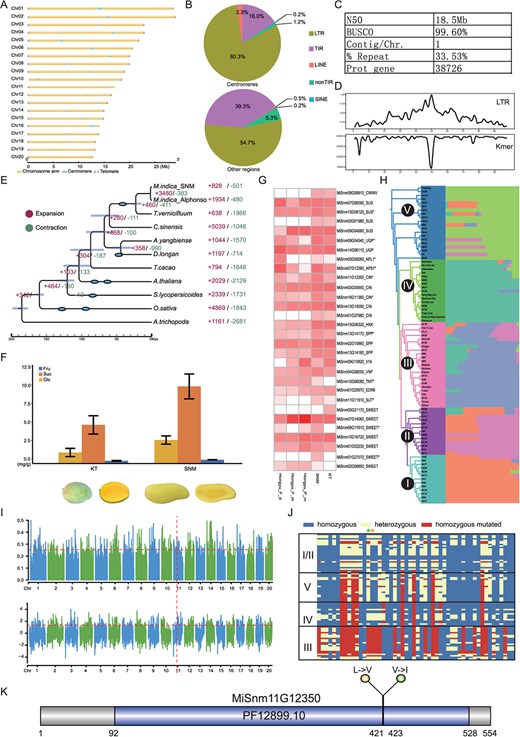 Horticulture Research (@hortres) on Twitter photo First gapless genome of mango landrace SNM unveiled! #MangoGenomics #GaplessAssembly <a href="/OxfordJournals/">Oxford Journals</a>
Details: doi.org/10.1093/hr/uha… First gapless genome of mango landrace SNM unveiled! #MangoGenomics #GaplessAssembly <a href="/OxfordJournals/">Oxford Journals</a>
Details: doi.org/10.1093/hr/uha…
