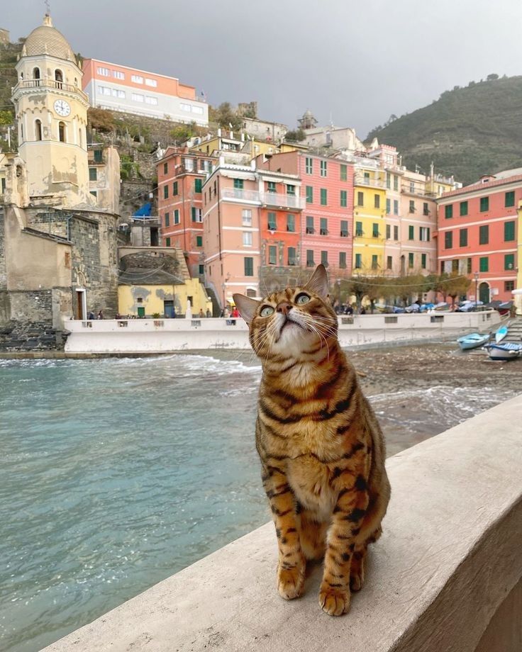 Feliz Martes Gente Bonita ☕️