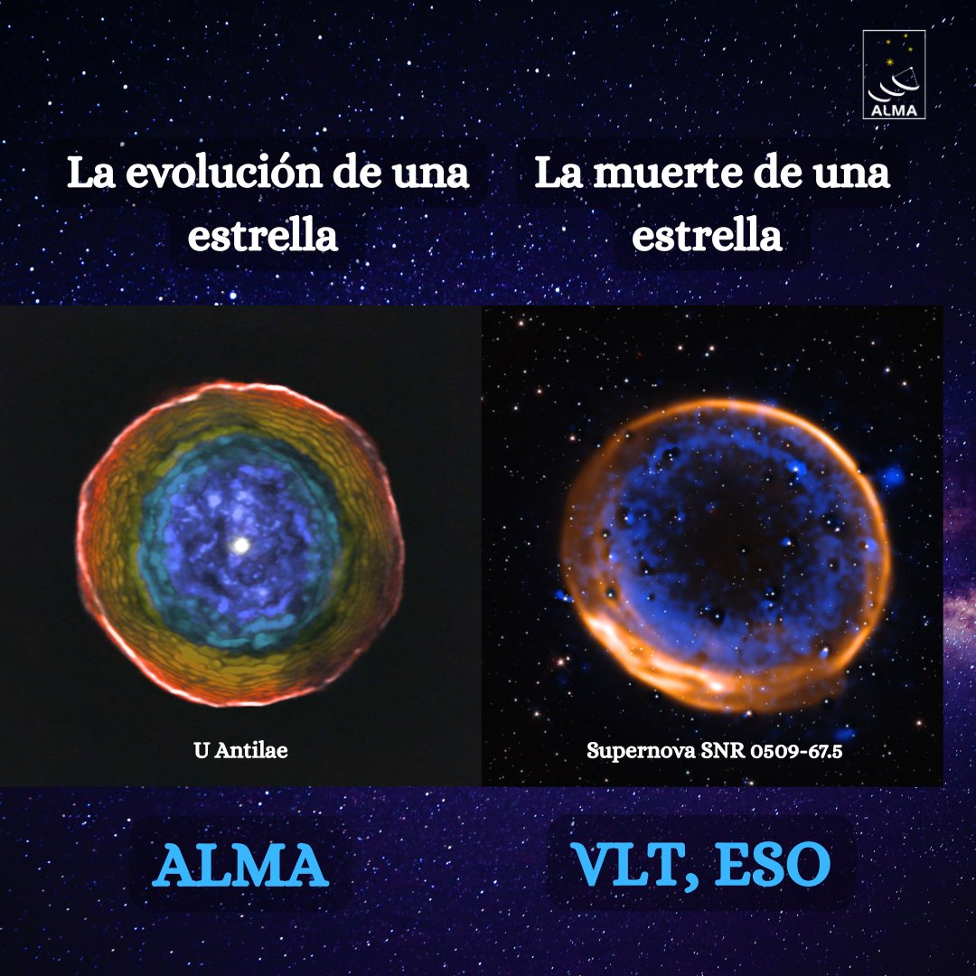 ✨Los humanos ya podemos observar la evolución de una estrella y su muerte. 
📷Observaciones de ALMA a U Antilae y observación a la supernova SNR 0509-67.5 por el 🔭Very Large Telescope (VLT) de nuestros socios <a href="/ESO_Chile/">ESO Chile</a>
