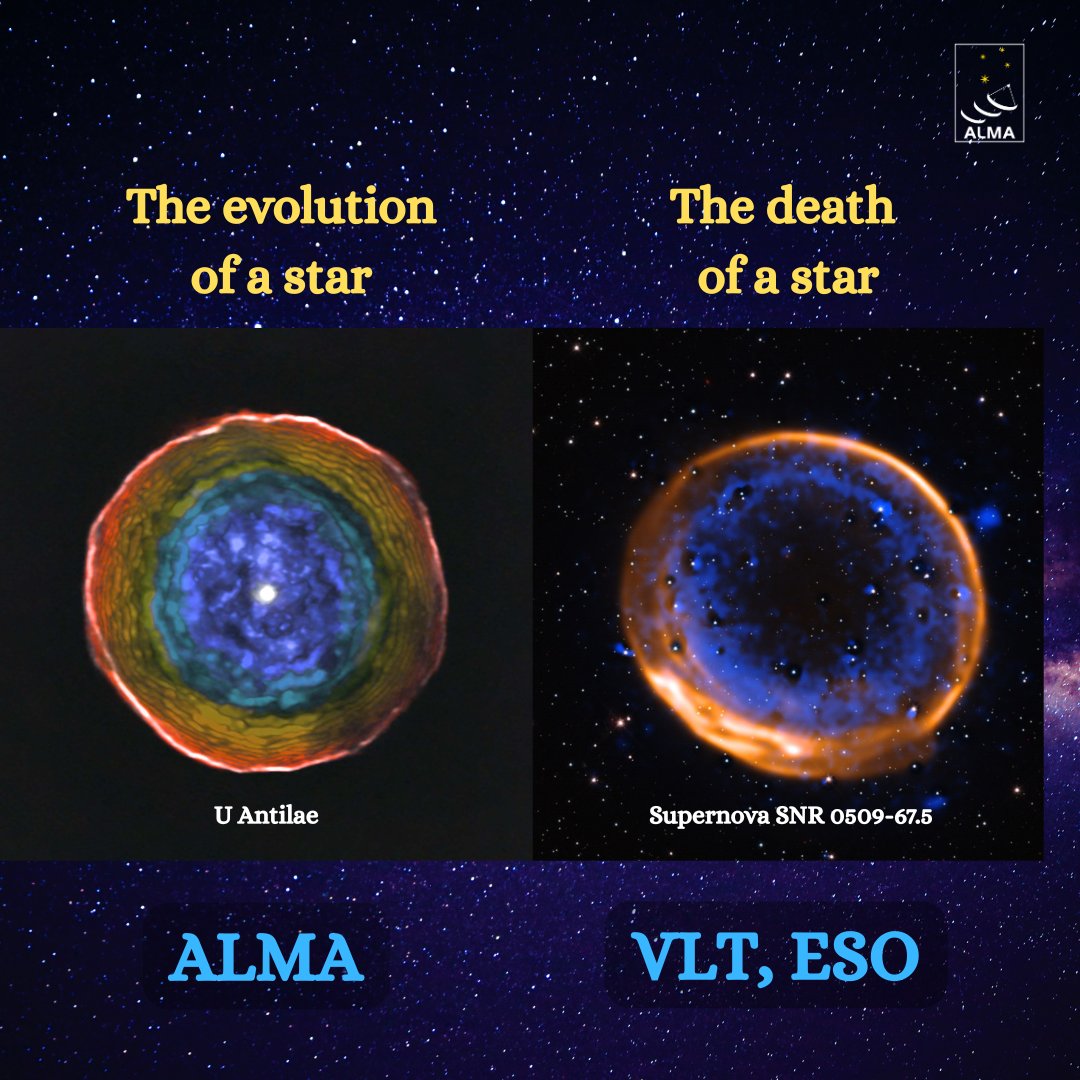 almaobs's tweet image. ✨Humans can now observe the evolution and death of a star. 
📷ALMA observations of U Antilae and the observation of supernova SNR 0509-67.5 by our partner @ESO &apos;s Very Large Telescope (VLT).