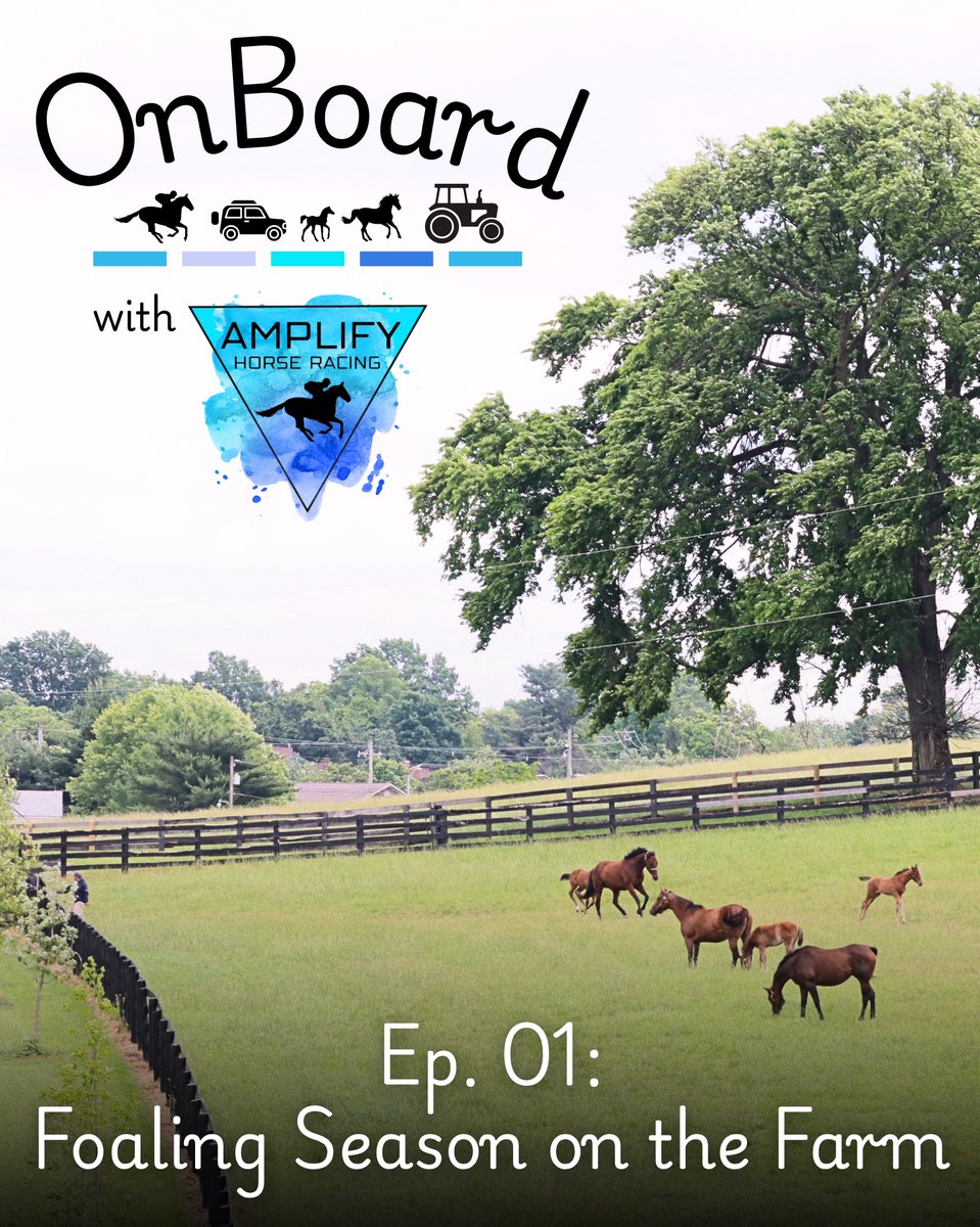 AmplifyRacing's tweet image. 🎬 OnBoard with Amplify premieres TONIGHT (7/15) at 7:30 PM EST!
Set your reminders and get ready to dive into foaling season at Mill Ridge 🐴✨
📺 Watch the premiere → youtu.be/mUJvHp0TX84?fe…
Listen 🎧 - open.spotify.com/show/5pVPQp5AX…