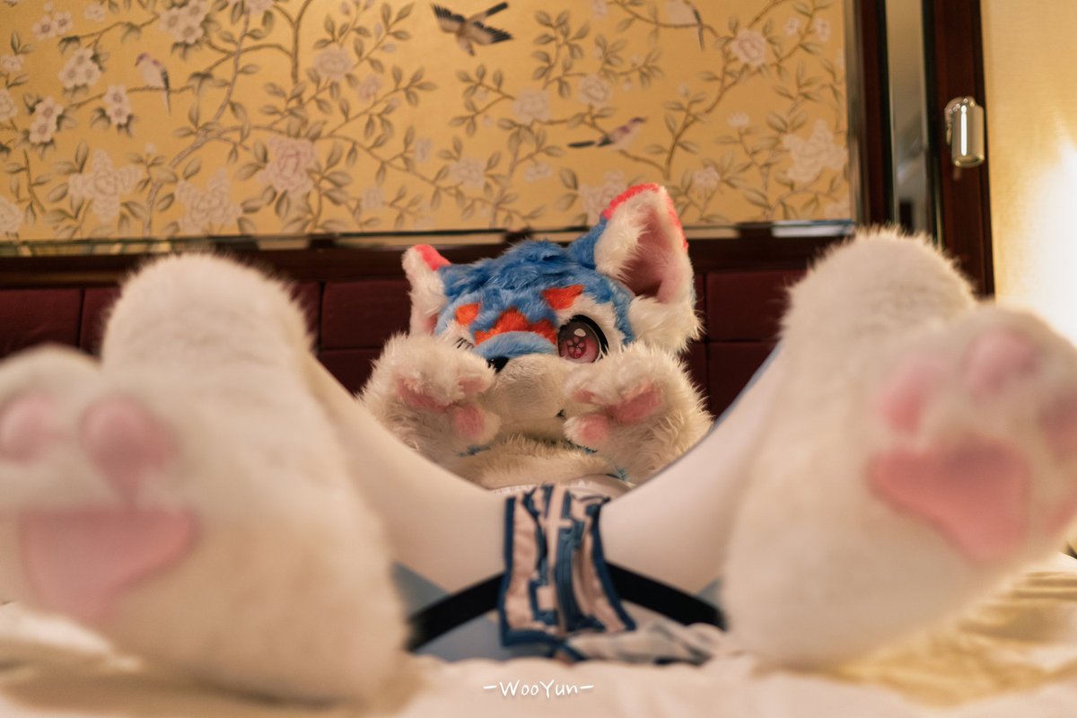 这倒是提醒我了👋🏻😲