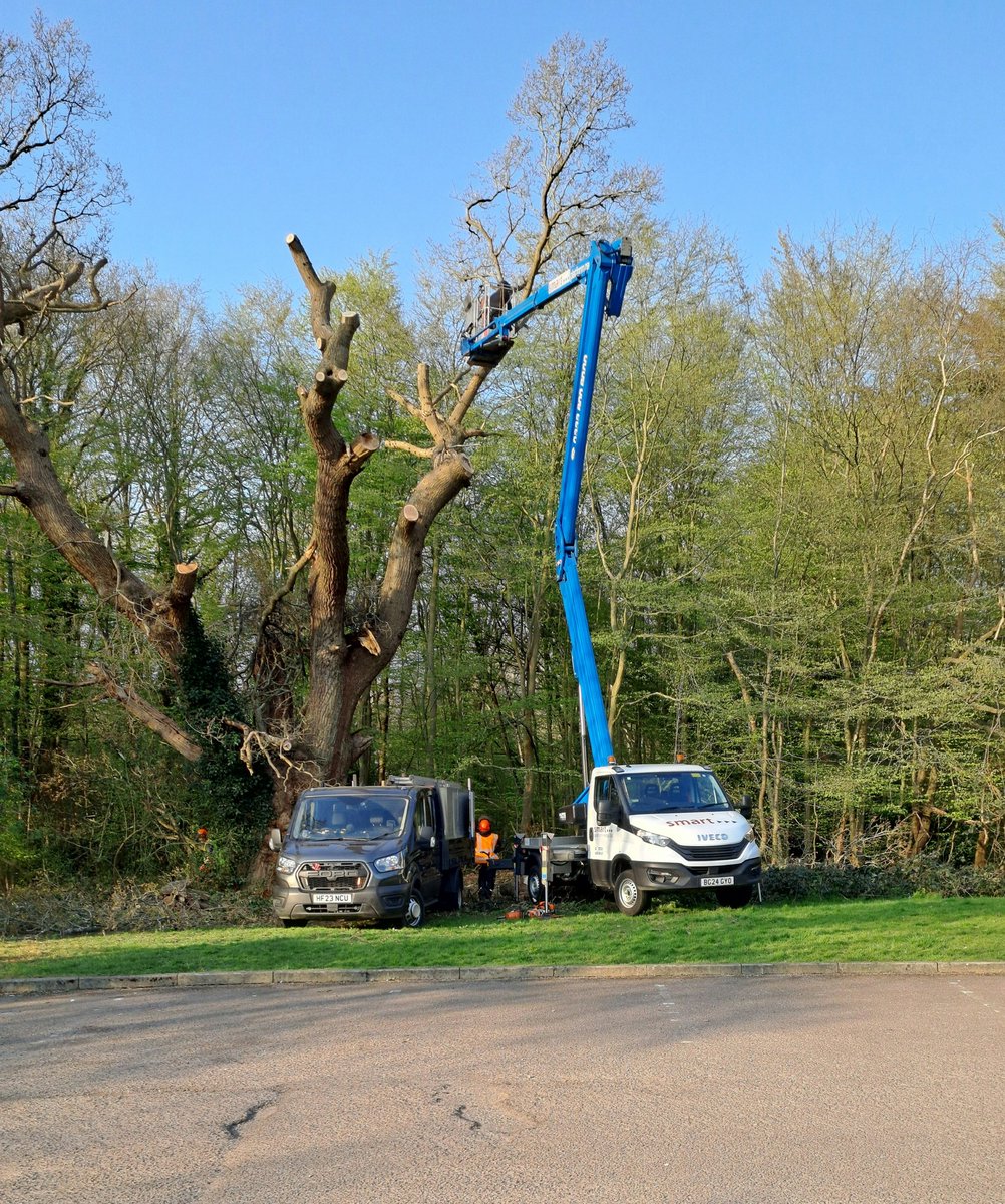 russell miller (@treeruss) on Twitter photo #SycamoreGap (no TPO) felled by morons = criminal damage & 4 years + prison.
#WhitewebbsOak (no TPO) felled by corporation that owns <a href="/tobycarvery/">Toby Carvery</a> = no police investigation.
Why is the law different for a FTSE 250 corporation <a href="/metpoliceuk/">Metropolitan Police</a> ?
#MitchellsandButlers #Whitewebbs #SycamoreGap (no TPO) felled by morons = criminal damage & 4 years + prison.
#WhitewebbsOak (no TPO) felled by corporation that owns <a href="/tobycarvery/">Toby Carvery</a> = no police investigation.
Why is the law different for a FTSE 250 corporation <a href="/metpoliceuk/">Metropolitan Police</a> ?
#MitchellsandButlers #Whitewebbs