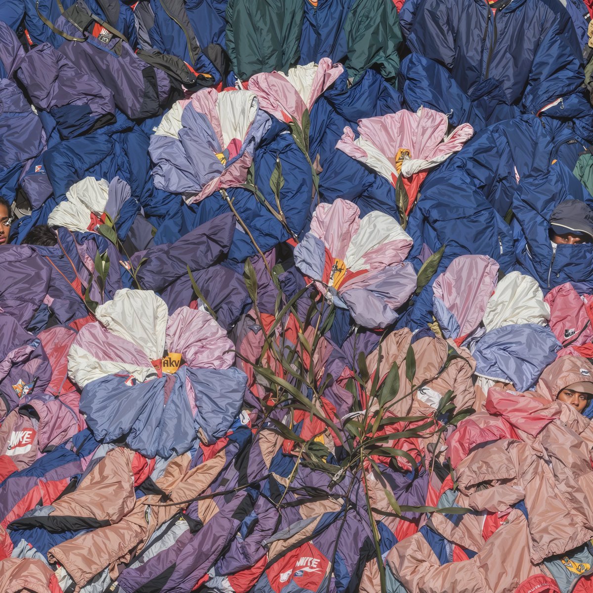 0009
Rested Bloom

Owned by <a href="/killianmoore_/">Killian Moore</a> 🌷