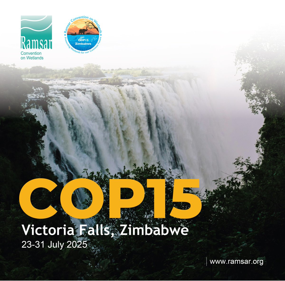 Next week #WetlandsCOP15 will highlight the need to protect, restore and invest in wetlands.

From peatlands &amp; rivers to mangroves &amp; marshes, wetlands are vital for biodiversity, water security, climate stability and livelihoods.

🔗ramsar.org/meeting/15th-m…

#KMGBF #GlobalGoals