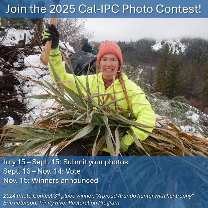 cal_ipc's tweet image. Photo contest submissions are OPEN!! Submit your pics of weed work action, before & after restoration photos, or any other invasive-plant-related photos.
July 15 – Sept. 15: Submit photos
Sept. 16 – Nov. 14: Vote
Nov. 15: Winners announced
Enter here: cal-ipc.org/photocontest