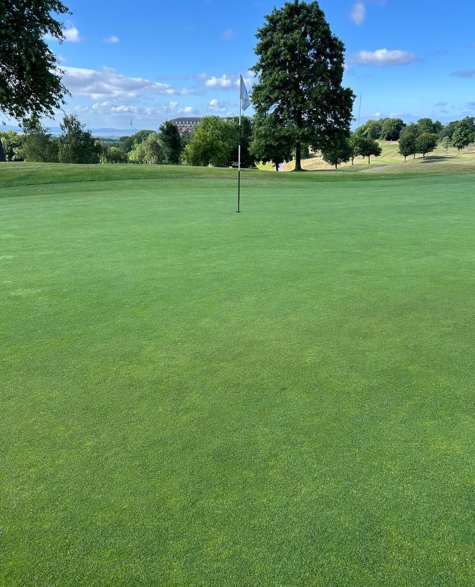 Agrovista Amenity (@agrovistaamnty) on Twitter photo Jim McKenzie at @theCelticManor is very happy with the Poa seed head control on all three courses.
<a href="/jmckenziej/">Jim McKenzie MBE</a> <a href="/rayhunt1977/">Raymond Hunt</a> Jim McKenzie at @theCelticManor is very happy with the Poa seed head control on all three courses.
<a href="/jmckenziej/">Jim McKenzie MBE</a> <a href="/rayhunt1977/">Raymond Hunt</a>