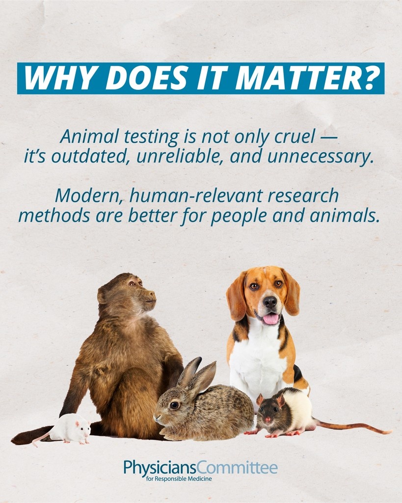 PCRM's tweet image. Did you know?
- 12 states have already banned cosmetics testing on animals.
- Millions of animals still needlessly suffer in labs each year.
- Modern test methods are more effective than animal tests. 