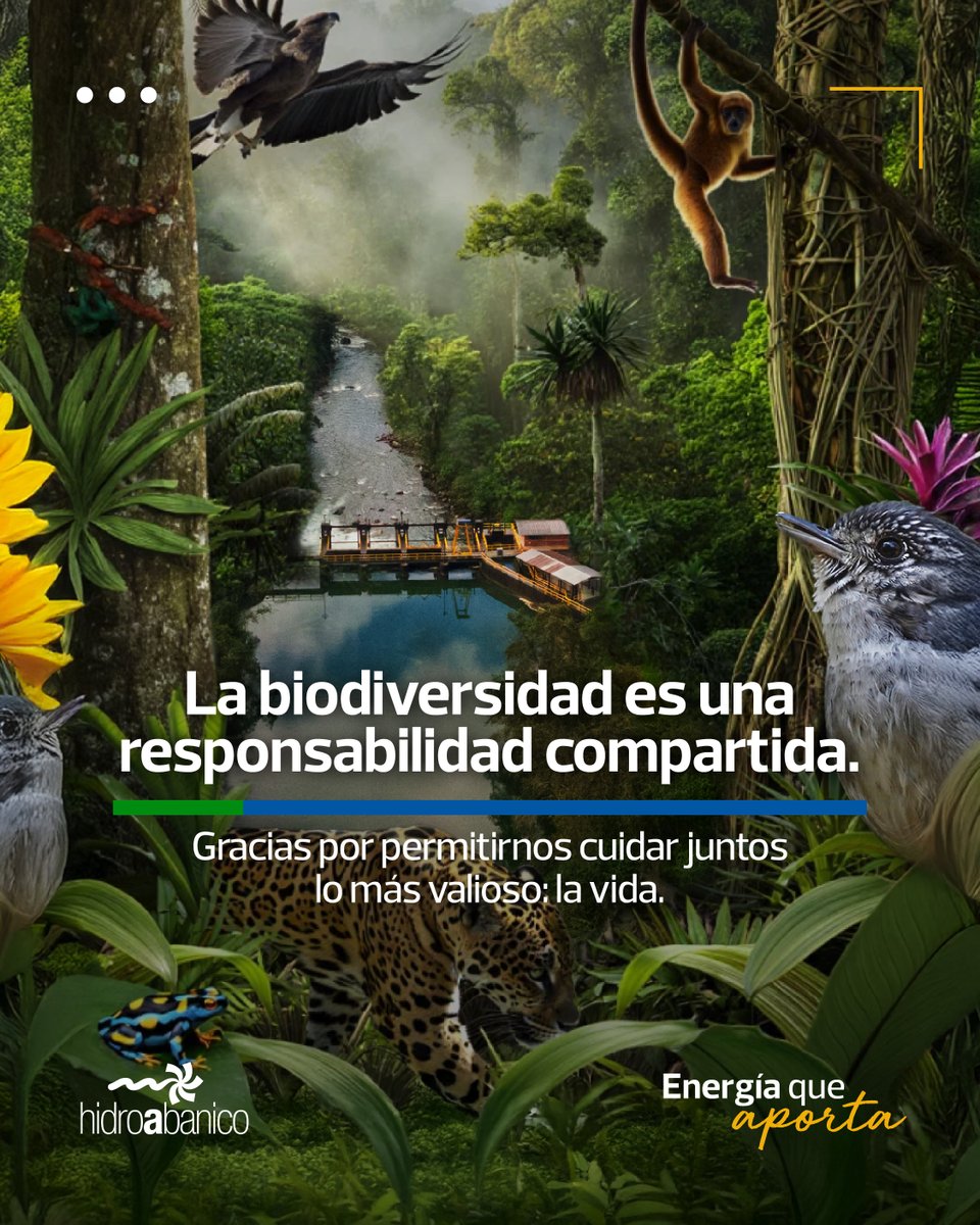 En el monitoreo ambiental del segundo semestre del 2024 se confirma que la biodiversidad en nuestra zona de influencia sigue siendo abundante. Esto es el resultado de un compromiso constante con el entorno que habitamos. 💪

#Hidroabanico #BiodiversidadAmazonía #EnergiaQueAporta