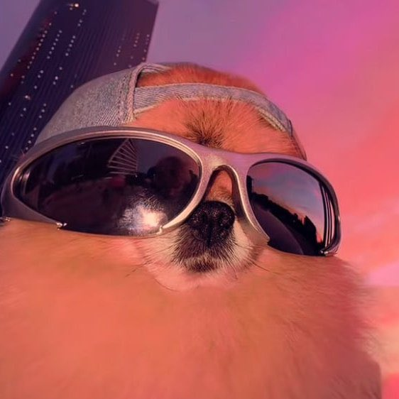 Crypto Retardio tweet media