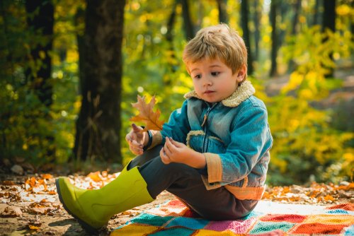 Free childcare in Scotland | Eligibility daynurseries.co.uk/advice/a-guide…