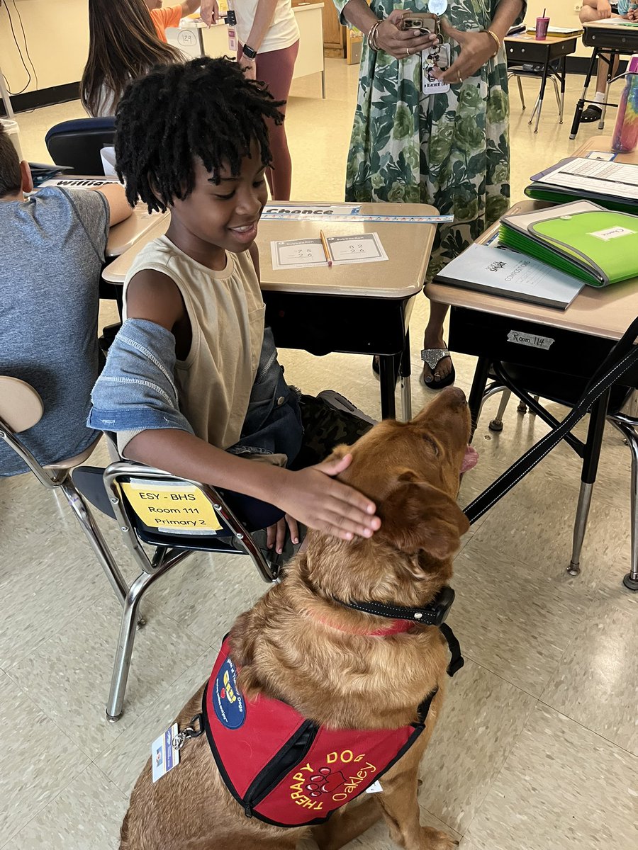 Allison Robb tweet media