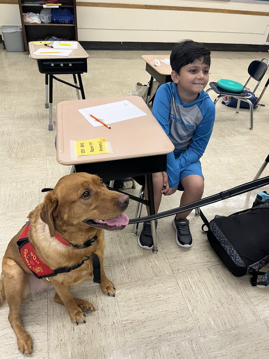 Allison Robb tweet media