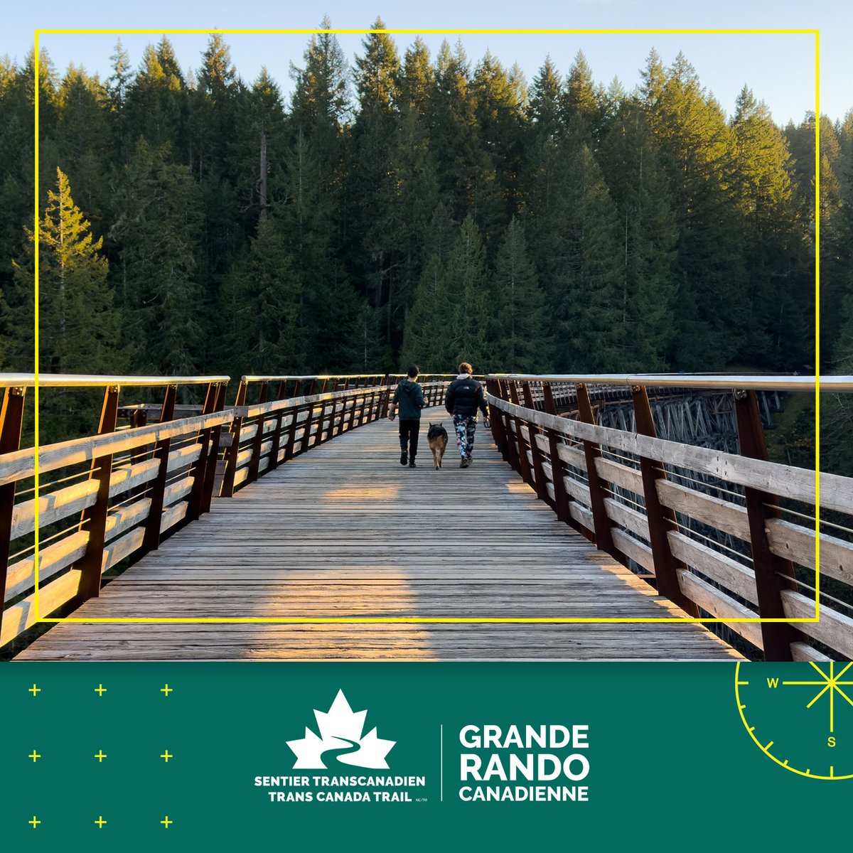 Sentier Transcanadien 🇨🇦 (@sentiertc) on Twitter photo 🚨 C’est LANCÉ! Cet automne, on ne fait pas que marcher, on écrit l’histoire. Des milliers de Canadien·nes se préparent pour la #GrandeRandoCanadienne afin de parcourir 30 000 km en 30 jours sur le <a href="/SentierTC/">Sentier Transcanadien 🇨🇦</a>. Inscrivez-vous dès aujourd’hui : brnw.ch/21wUa6h 🚨 C’est LANCÉ! Cet automne, on ne fait pas que marcher, on écrit l’histoire. Des milliers de Canadien·nes se préparent pour la #GrandeRandoCanadienne afin de parcourir 30 000 km en 30 jours sur le <a href="/SentierTC/">Sentier Transcanadien 🇨🇦</a>. Inscrivez-vous dès aujourd’hui : brnw.ch/21wUa6h