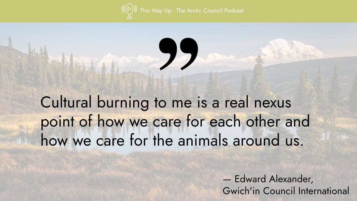ArcticCouncil's tweet image. For millennia, Arctic Indigenous Peoples used cultural burning to care for land & prevent wildfires.
🎧 Listen and learn how cultural burning could be a key solution in wildfire management today in the new podcast episode: The Arctic on Fire 🔥
🎙️ pod.link/1822773340