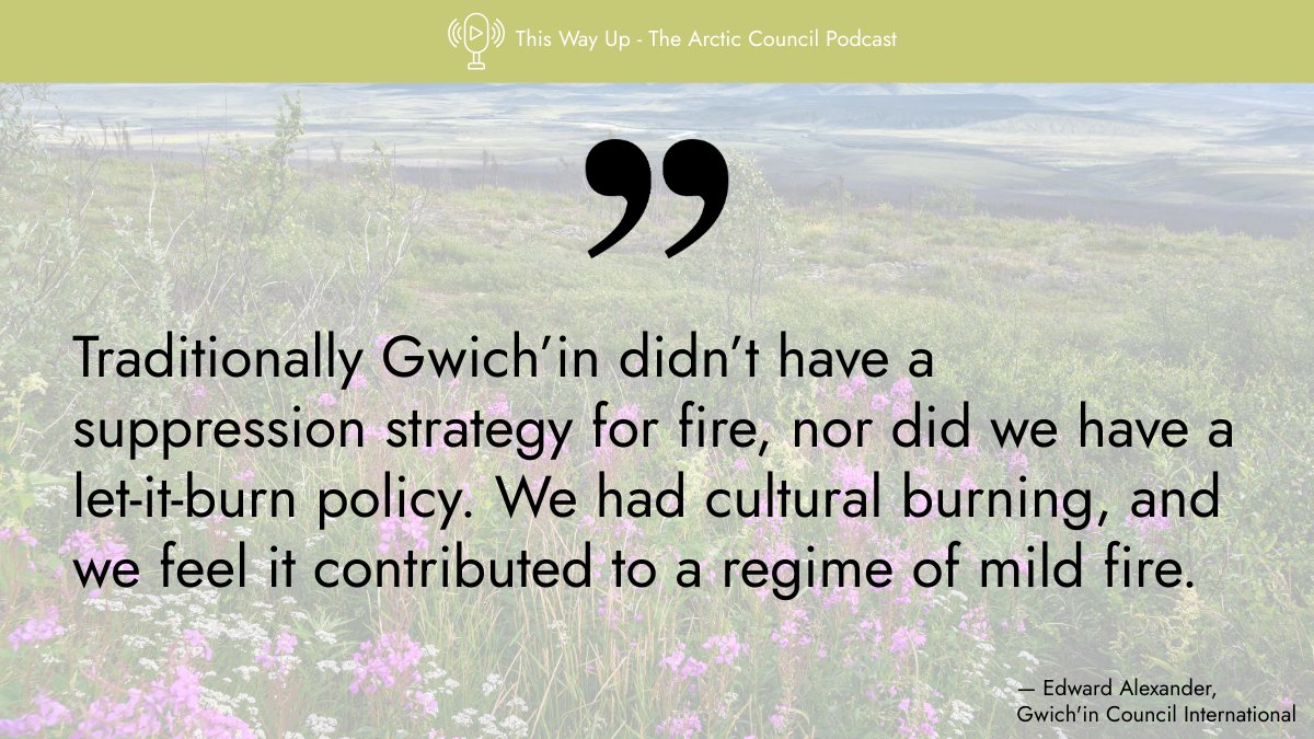 ArcticCouncil's tweet image. For millennia, Arctic Indigenous Peoples used cultural burning to care for land & prevent wildfires.
🎧 Listen and learn how cultural burning could be a key solution in wildfire management today in the new podcast episode: The Arctic on Fire 🔥
🎙️ pod.link/1822773340