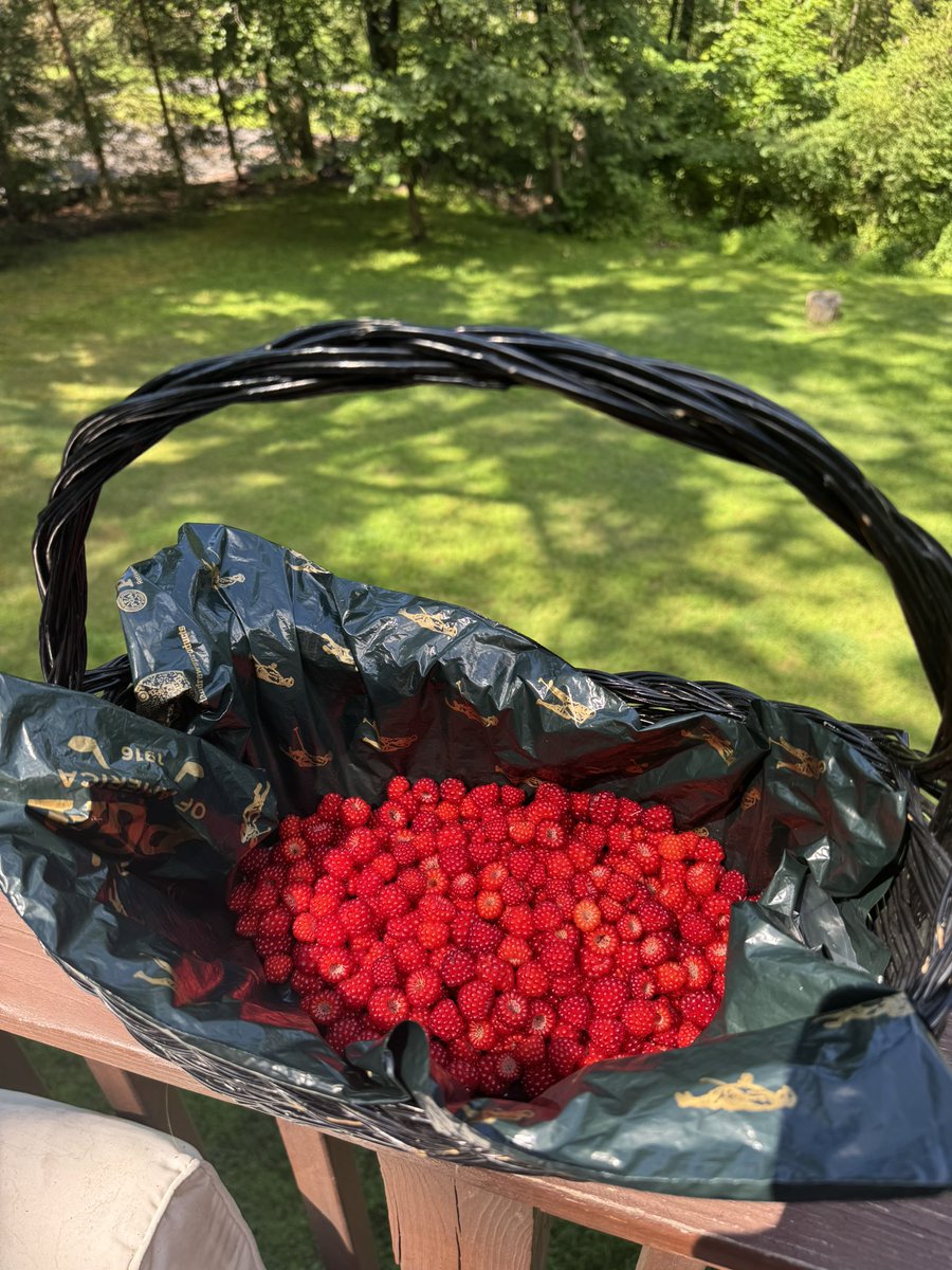 July is Nature‘s Candy Month